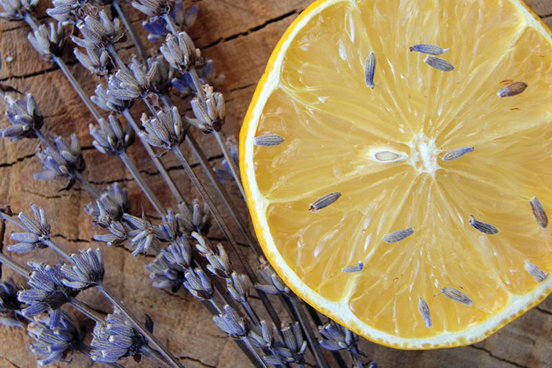 Lavender Lemon Scent