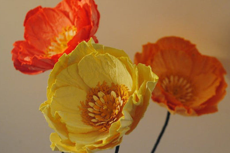 Poppy & Blooms Scent